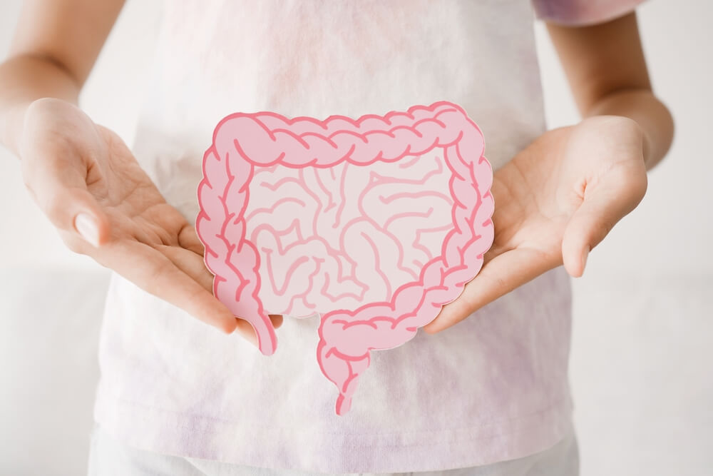 Preteen,Girl,Hands,Holding,Intestine,Shape,,Healthy,Bowel,Digestion,,Leaky