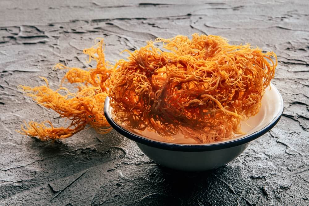 Irish,Sea,Moss,,Chondrus,Crispus,,Healthy,Organic,Raw,Seaweed,,Dried,