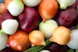 Fresh,Onions,As,Background.,Organic,Food